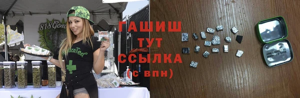 индика Медвежьегорск