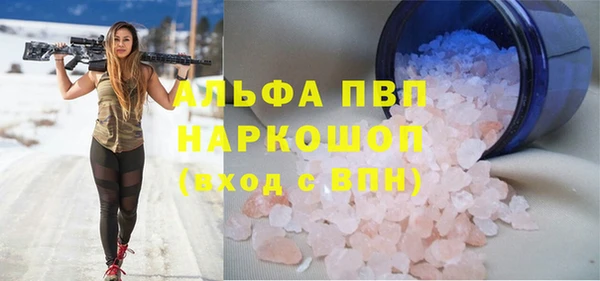 индика Медвежьегорск