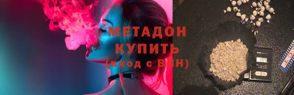 индика Медвежьегорск