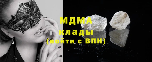 индика Медвежьегорск