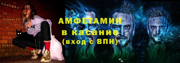 индика Медвежьегорск