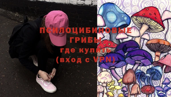 индика Медвежьегорск