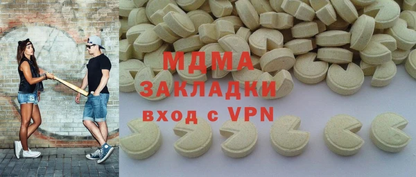 индика Медвежьегорск
