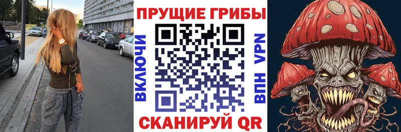 даркнет официальный сайт  Урус-Мартан  Псилоцибиновые грибы ЛСД 